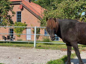 Ferienwohnung Vidja